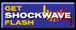 Get Shockwave to play our bitchin' games.